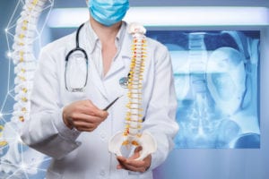 closeup of a doctor with stethoscope holding an artificial spine model with pelvis unit of human skeleton