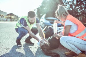 Paramedics Bandaging Cuts Of Female Injured In Traffic Accident possible spinal cord injury