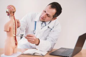 Doctor points to human spine on anatomical model of human body.